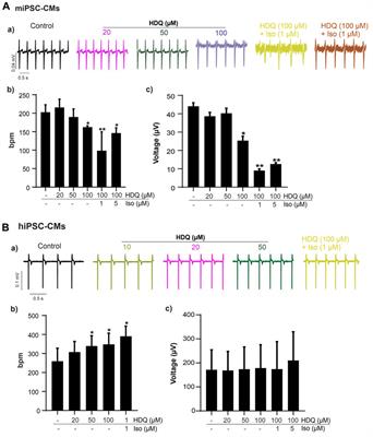 In vitro effect of hydroxychloroquine on pluripotent stem cells and their cardiomyocytes derivatives